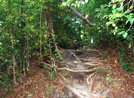 3D2N Bako National Park - Natural Trekking 3D2N Bako National Park - Natural Trekking