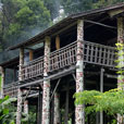 3D2N Sarawak Cultural Village + Semenggoh Orang Utan 3D2N Sarawak Cultural Village + Semenggoh Orang Utan