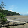 4D3N Kuching City + Bako National Park 4D3N Kuching City + Bako National Park