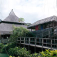 4D3N Semenggoh Orang Utan + River Cruise + Sarawak Cultural Village 4D3N Semenggoh Orang Utan + River Cruise + Sarawak Cultural Village