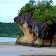 5D4N Kuching City + Semenggoh Orang Utan + Bako National Park + Longhouse Safari 5D4N Kuching City + Semenggoh Orang Utan + Bako National Park + Longhouse Safari