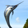 Labuan Half Day Tour Labuan Half Day Tour