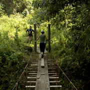 2D1N Tabin Wildlife Safari 2D1N Tabin Wildlife Safari