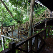 2D1N Tabin Wildlife Safari 2D1N Tabin Wildlife Safari