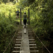 3D2N Tabin Wildlife Safari 3D2N Tabin Wildlife Safari