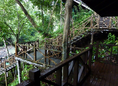 3D2N Tabin Wildlife Safari 3D2N Tabin Wildlife Safari