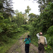 4D3N Birding at Tabin Package 4D3N Birding at Tabin Package