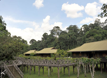 3D2N Danum Valley Rainforest Experience 3D2N Danum Valley Rainforest Experience