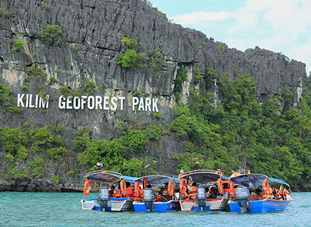 Mangrove & Cave Exploration Mangrove & Cave Exploration