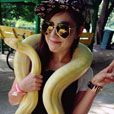 Miri Crocodile Farm + Mini Zoo Miri Crocodile Farm + Mini Zoo