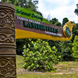 Lambir Hills National Park Lambir Hills National Park