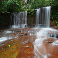 Lambir Hills National Park Lambir Hills National Park