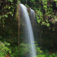 Lambir Hills National Park Lambir Hills National Park