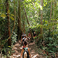 Lambir Hills National Park Lambir Hills National Park