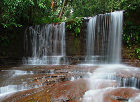 Lambir Hills National Park Lambir Hills National Park