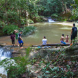 Borneo Tropical Rainforest Resort Tours Borneo Tropical Rainforest Resort Tours