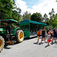 Borneo Tropical Rainforest Resort Tours Borneo Tropical Rainforest Resort Tours