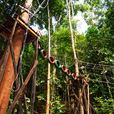 Borneo Tropical Rainforest Resort Tours Borneo Tropical Rainforest Resort Tours