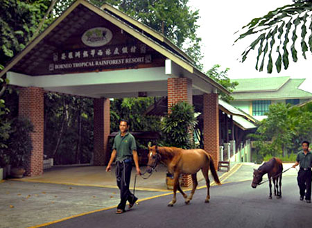 Borneo Tropical Rainforest Resort Tours Borneo Tropical Rainforest Resort Tours