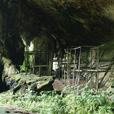 Niah National Park  - Niah Cave + Tusan Beach Tours Niah National Park  - Niah Cave + Tusan Beach Tours