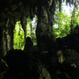 Niah National Park  - Niah Cave + Tusan Beach Tours Niah National Park  - Niah Cave + Tusan Beach Tours
