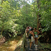 Niah National Park  - Niah Cave + Tusan Beach Tours Niah National Park  - Niah Cave + Tusan Beach Tours