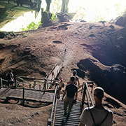 Niah National Park  - Niah Cave + Tusan Beach Tours Niah National Park  - Niah Cave + Tusan Beach Tours
