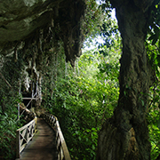Niah National Park  - Niah Cave + Tusan Beach Tours Niah National Park  - Niah Cave + Tusan Beach Tours