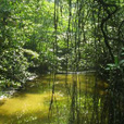 2D1N Similajau National Park 2D1N Similajau National Park