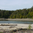 2D1N Similajau National Park 2D1N Similajau National Park