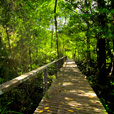 2D1N Similajau National Park 2D1N Similajau National Park