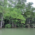 2D1N Similajau National Park 2D1N Similajau National Park