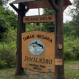 2D1N Similajau National Park 2D1N Similajau National Park