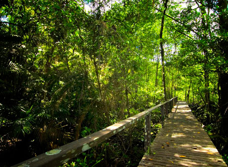 2D1N Similajau National Park 2D1N Similajau National Park