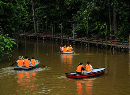 2D1N Borneo Tropical Rainforest Resort Tours 2D1N Borneo Tropical Rainforest Resort Tours