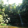 3D2N Miri City + Lambir Hill + Iban Longhouse 3D2N Miri City + Lambir Hill + Iban Longhouse