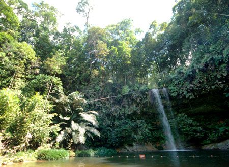 3D2N Miri City + Lambir Hill + Iban Longhouse 3D2N Miri City + Lambir Hill + Iban Longhouse