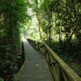 4D3N Miri City + Niah Caves + Brunei Day Trip 4D3N Miri City + Niah Caves + Brunei Day Trip