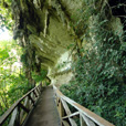 4D3N Miri City + Niah Caves + Mulu Caves       4D3N Miri City + Niah Caves + Mulu Caves