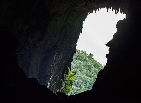 4D3N Miri City + Niah Caves + Mulu Caves       4D3N Miri City + Niah Caves + Mulu Caves