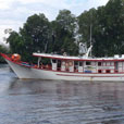 4D3N Miri Deep Sea Fishing Trip 4D3N Miri Deep Sea Fishing Trip