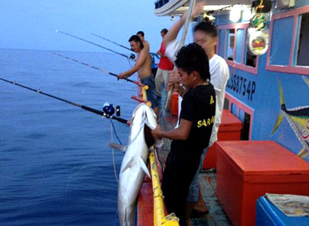 4D3N Miri Deep Sea Fishing Trip 4D3N Miri Deep Sea Fishing Trip