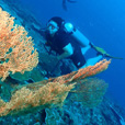 Miri Fun Dive (Miri-Sibuti Coral Reefs National Park) - For Cert Diver Miri Fun Dive (Miri-Sibuti Coral Reefs National Park) - For Cert Diver
