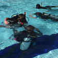 PADI Discover Scuba Dive (DSD) (FOR NON-CERT DIVER) PADI Discover Scuba Dive (DSD) (FOR NON-CERT DIVER)
