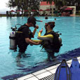 PADI Discover Scuba Dive (DSD) (FOR NON-CERT DIVER) PADI Discover Scuba Dive (DSD) (FOR NON-CERT DIVER)