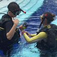 PADI Open Water Diving Course PADI Open Water Diving Course