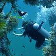 PADI Advanced Open Water Course PADI Advanced Open Water Course