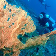 PADI Advanced Open Water Course PADI Advanced Open Water Course