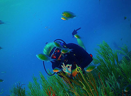 PADI Advanced Open Water Course PADI Advanced Open Water Course