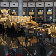 3D2N Miri City + Brunei Day Trip 3D2N Miri City + Brunei Day Trip
